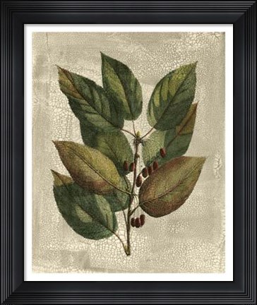 Framed Tree IV Print