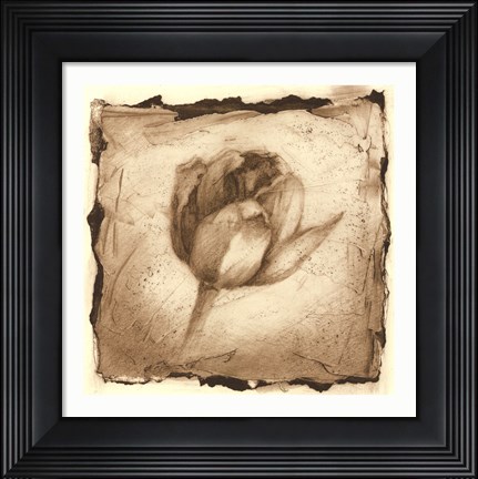 Framed Floral Impression I Print