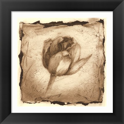 Framed Floral Impression I Print