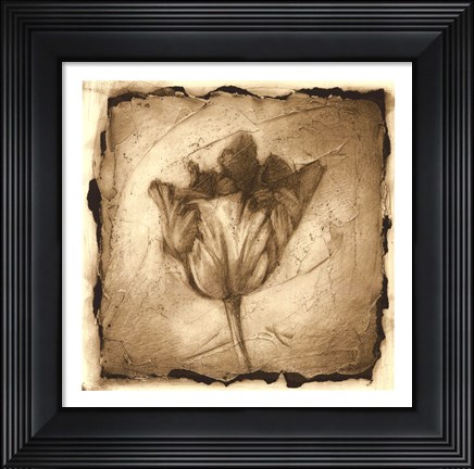 Framed Floral Impression II Print
