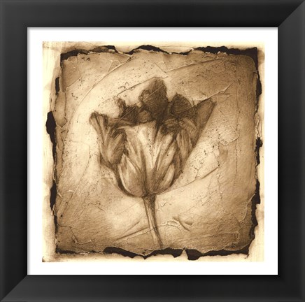 Framed Floral Impression II Print