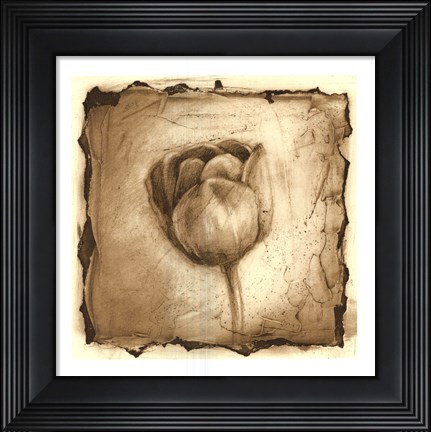 Framed Floral Impression III Print