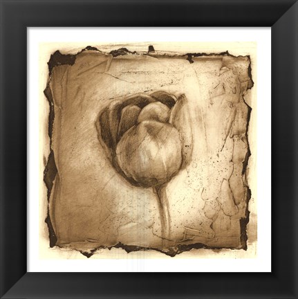 Framed Floral Impression III Print