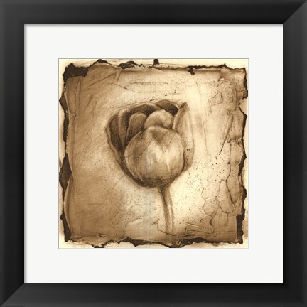 Framed Floral Impression III Print