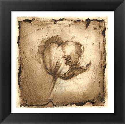 Framed Floral Impression IV Print