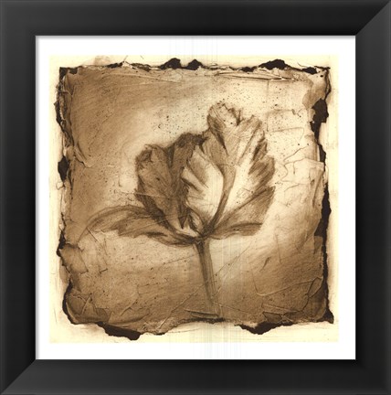 Framed Floral Impression V Print