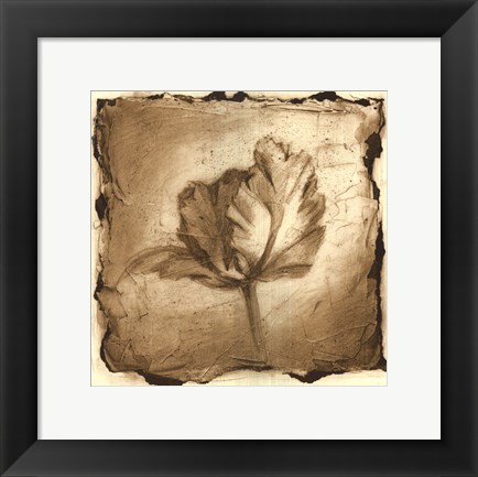 Framed Floral Impression V Print