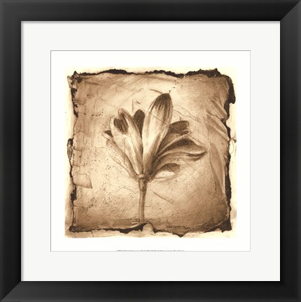 Framed Floral Impression VII Print