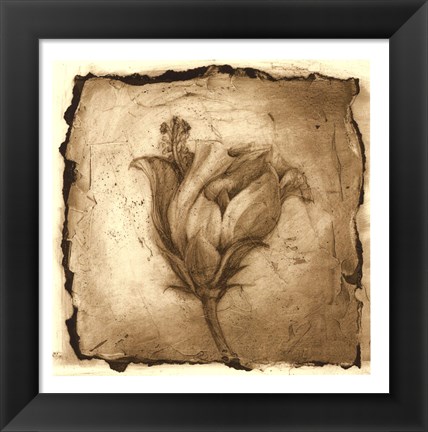 Framed Floral Impression VIII Print