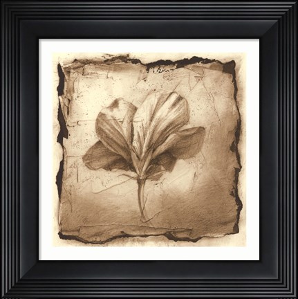 Framed Floral Impression IX Print