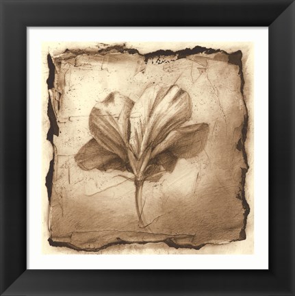 Framed Floral Impression IX Print