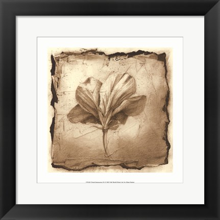 Framed Floral Impression IX Print