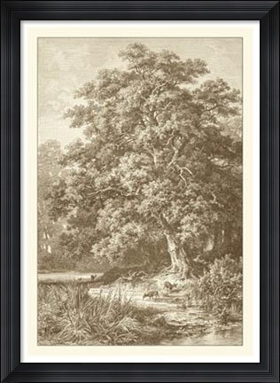Framed Sepia Oak Tree Print