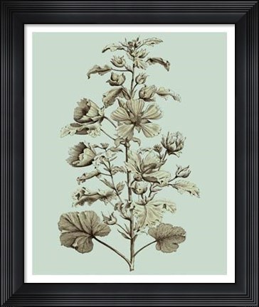 Framed Imperial Munting I Print