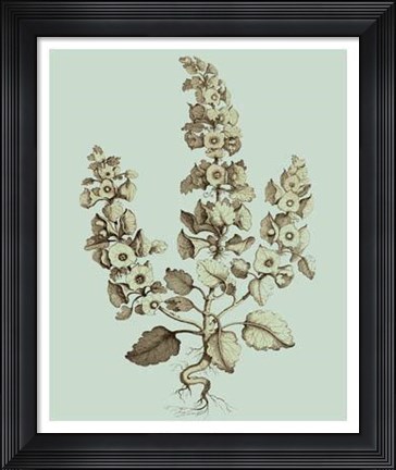 Framed Imperial Munting II Print