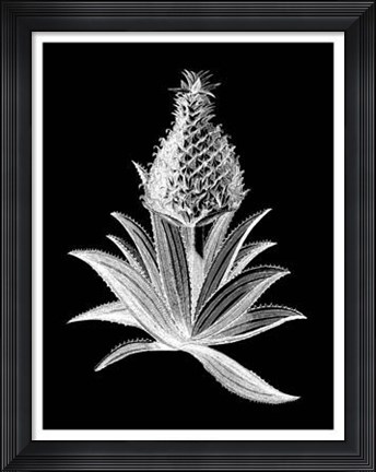 Framed Pineapple Noir I Print