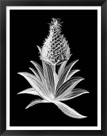 Framed Pineapple Noir I Print