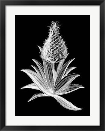 Framed Pineapple Noir I Print