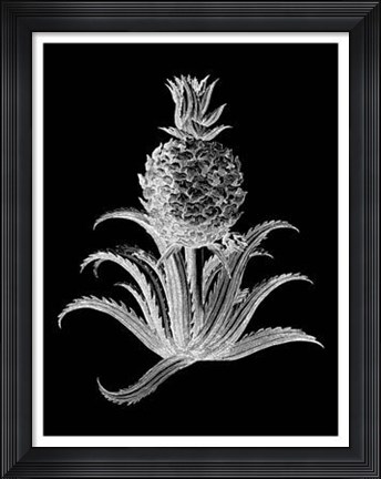Framed Pineapple Noir II Print