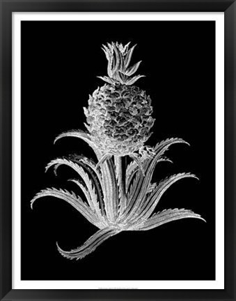 Framed Pineapple Noir II Print