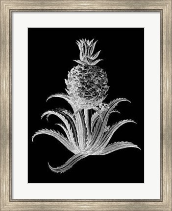 Framed Pineapple Noir II Print