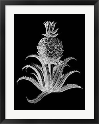 Framed Pineapple Noir II Print
