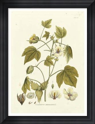 Framed Nature&#39;s Elegance II Print