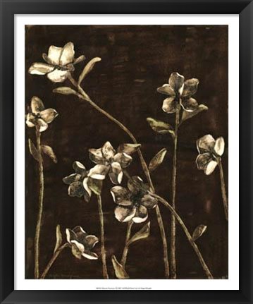 Framed Blossom Nocturne I Print