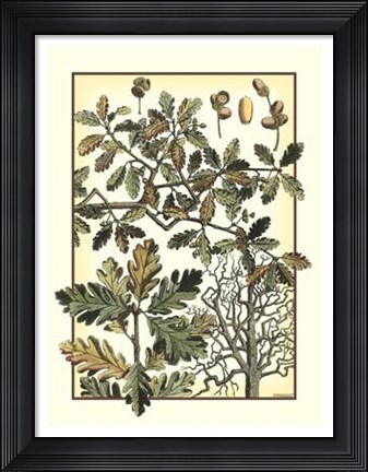 Framed Arts And Crafts Oak Print