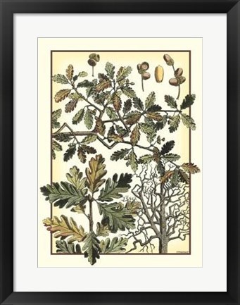 Framed Arts And Crafts Oak Print