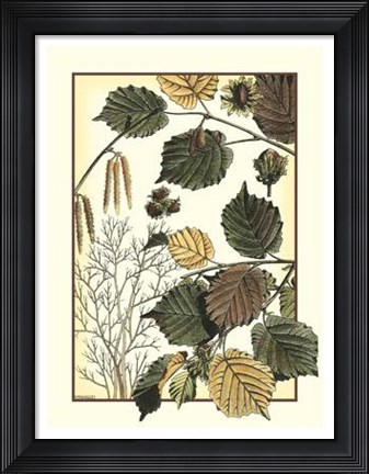 Framed Arts And Crafts Hazelnut Print
