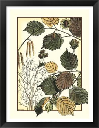 Framed Arts And Crafts Hazelnut Print