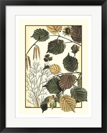 Framed Arts And Crafts Hazelnut Print