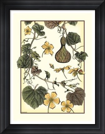 Framed Arts And Crafts Gourd Print