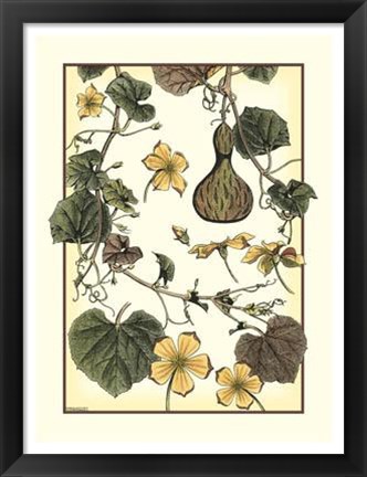 Framed Arts And Crafts Gourd Print