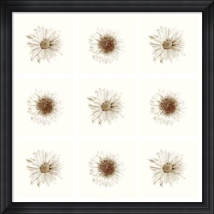 Framed Neutral Bouquet Print