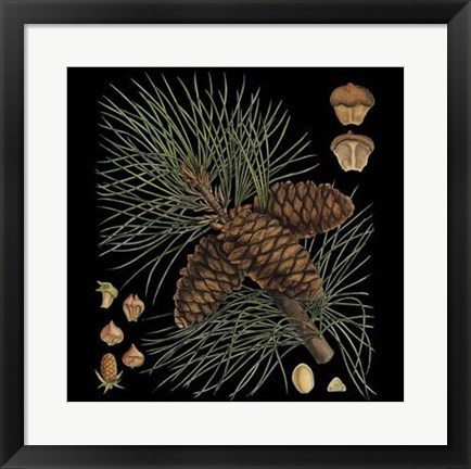 Framed Dramatic Conifers V Print