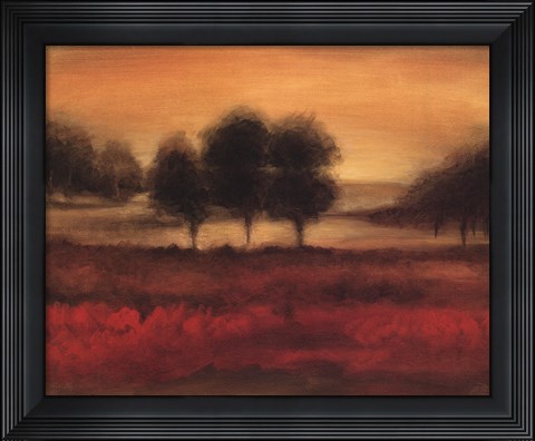 Framed Printed Mcintire Grove II Print