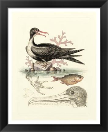 Framed Aquatic Birds I Print