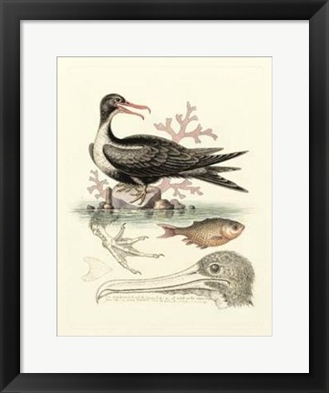 Framed Aquatic Birds I Print