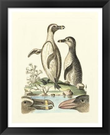 Framed Aquatic Birds IV Print