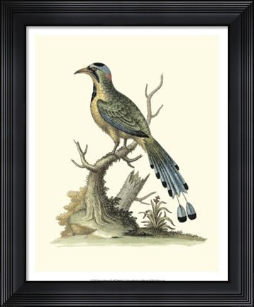 Framed Poised In Nature II Print