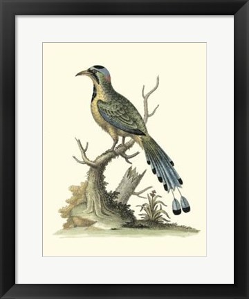 Framed Poised In Nature II Print