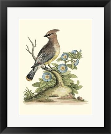 Framed Poised In Nature III Print