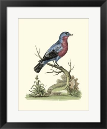 Framed Poised In Nature IV Print
