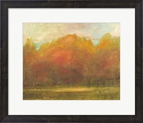Framed Auburn Vista I Print