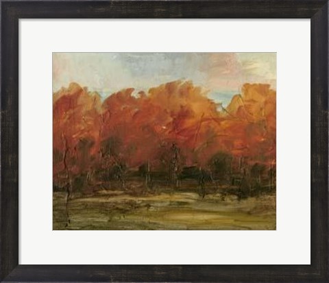 Framed Auburn Vista II Print