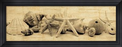 Framed Treasures II Print