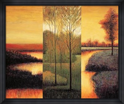 Framed Vistas II Print
