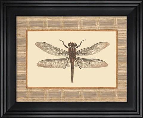 Framed Delicate Dancer I Print